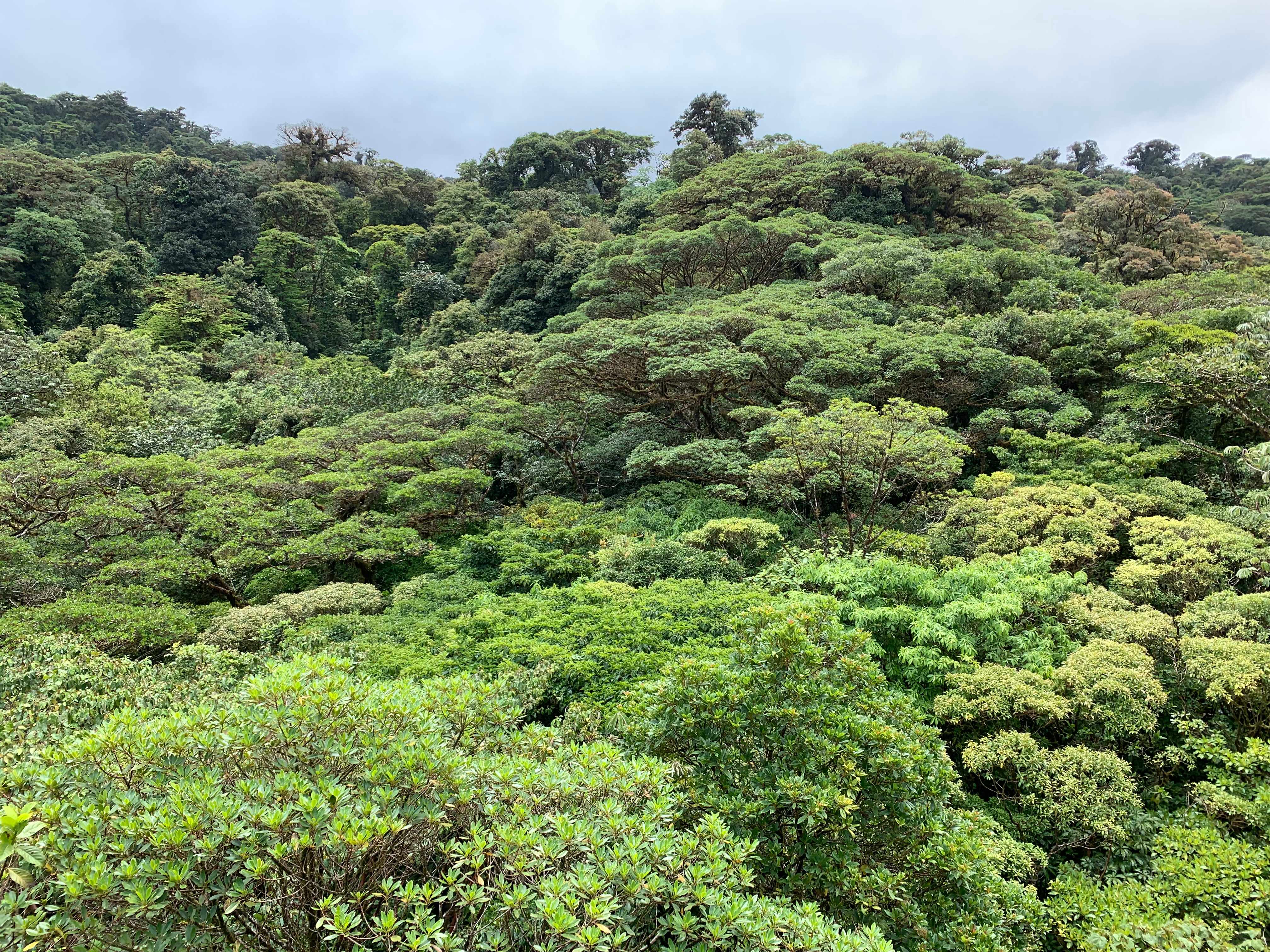 Costa Rica
